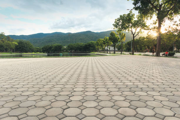 Reasons to Select Us for Your Driveway Paving Requirements in Fraser, MI