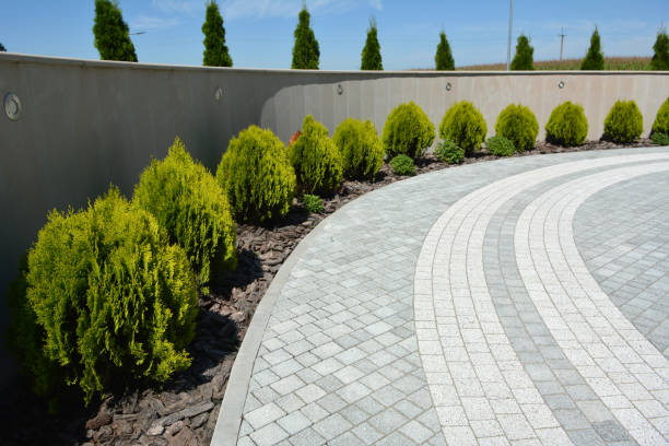 Best Concrete Paver Driveway  in Fraser, MI